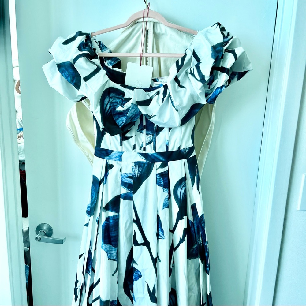 Alexander McQueen Ruffled Floral-Print Cotton Poplin Corset Maxi Dress - Picture 9 of 12